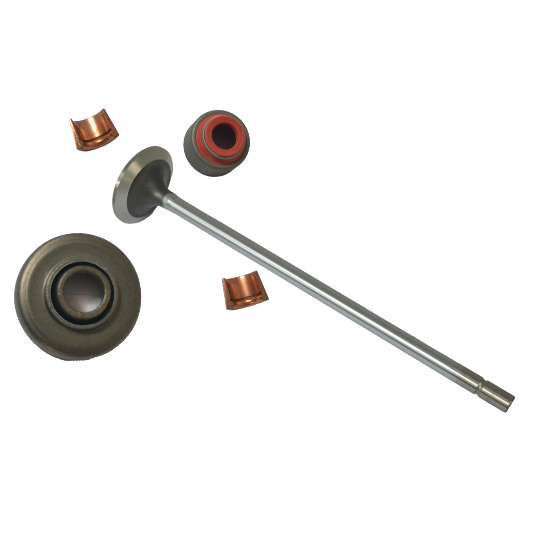 VÁLVULA DE ADMISIÓN