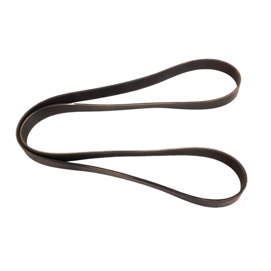 CORREA SERPENTINA CORREA OE TECH