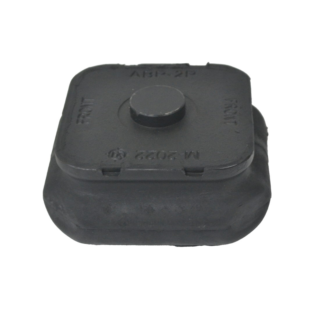 AM-ABP2P SAPO DE ABAJO