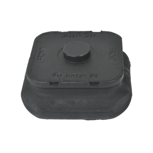 AM-ABP2P SAPO DE ABAJO