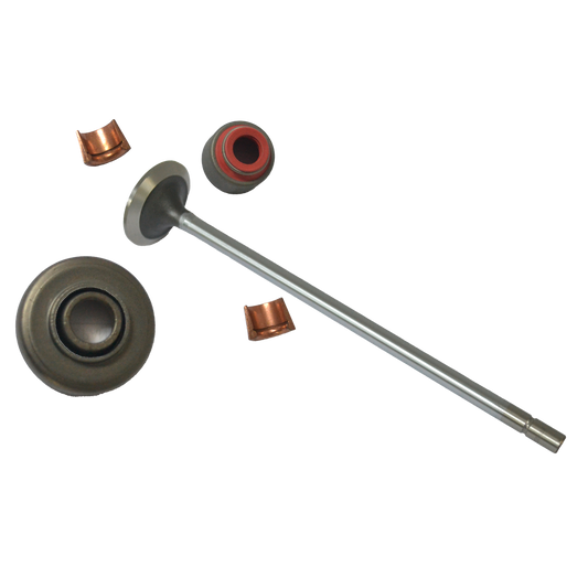 VÁLVULA DE ADMISIÓN